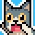 猫猫跳跃最新版