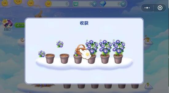 浪漫玫瑰园图3