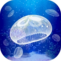 治愈的养成水母
