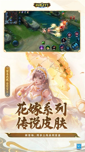 掌上英魂之刃  安卓版图3