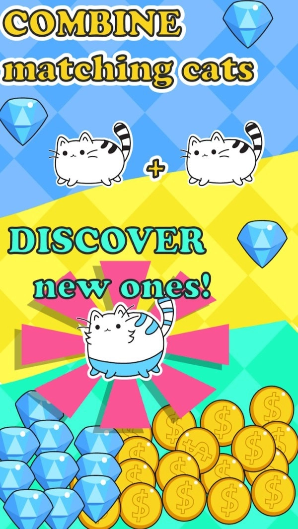 等一只猫咪图4