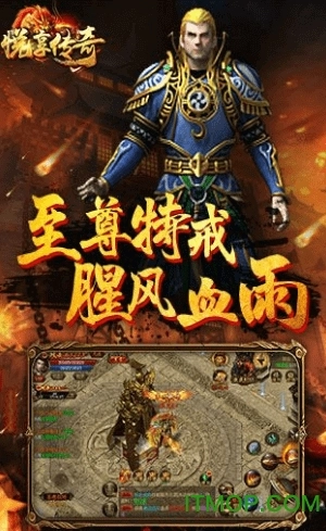 悦享传奇世界3d正版图2