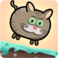 快乐的肥猫