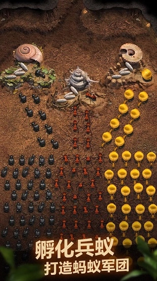 小蚁帝国最新版