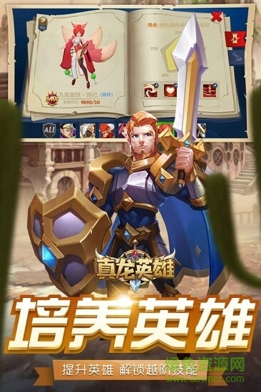 真龙英雄游戏