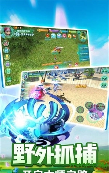 神奇宝贝Mega图2