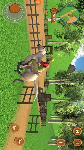 真实马术师模拟图4