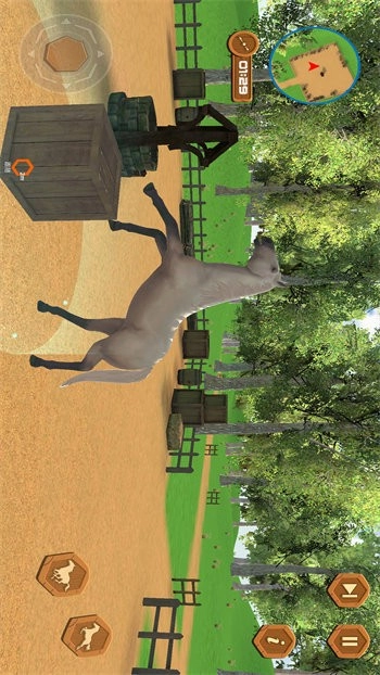 真实马术师模拟图1