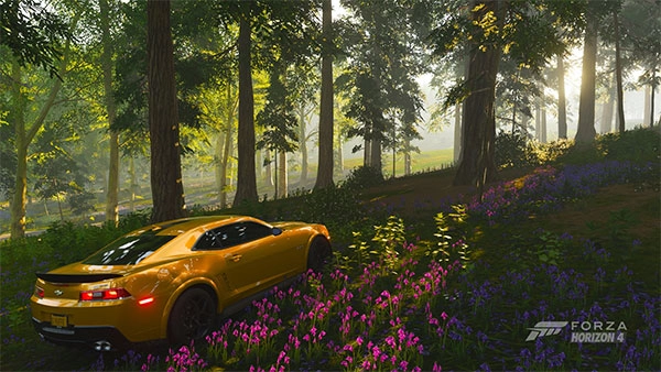 ForzaHorizon4图3