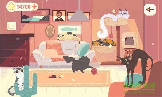 左瞄右喵手机版图2