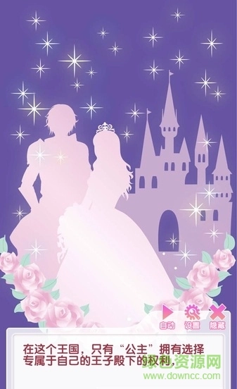 宫殿月下灰姑娘