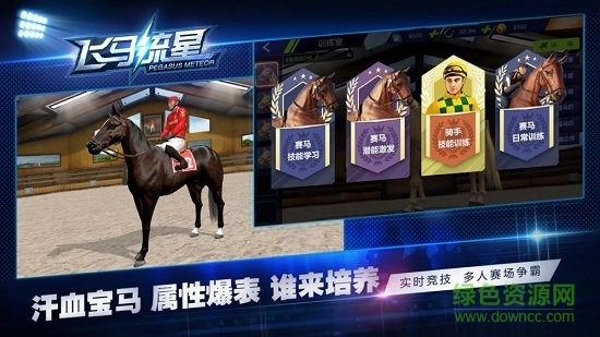 飞马流星游戏图2