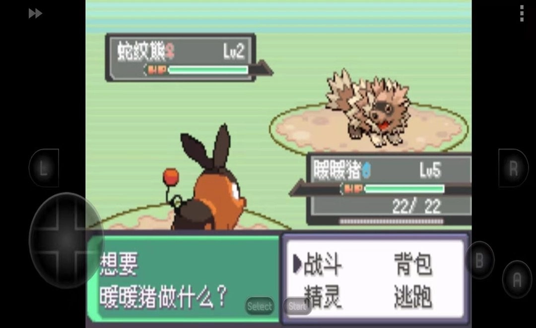 口袋妖怪究极绿宝石5安卓版图2