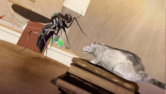 蚊子家庭生活模拟器3d