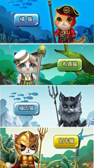 猫猫水族馆最新版图5