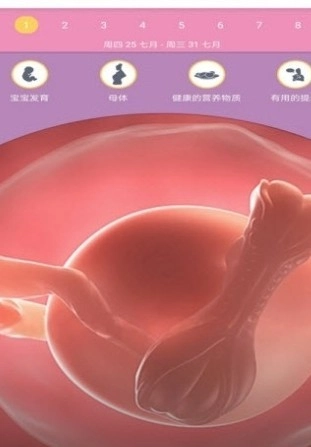怀孕日历安卓版图1
