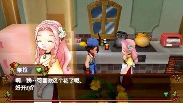 牧场物语蜜糖村与大家的心愿汉化版图3