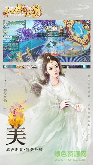 红楼q梦游戏安装包图2