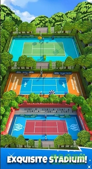 网球go世界巡回赛3d