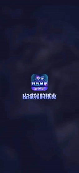 皮肤领的贼爽免费版图1