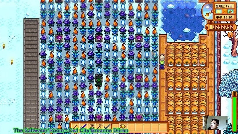 星露谷物語數數魔改版