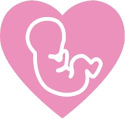 怀孕日历安卓版