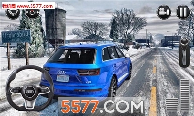 CityCarDrivingSimulator安卓版