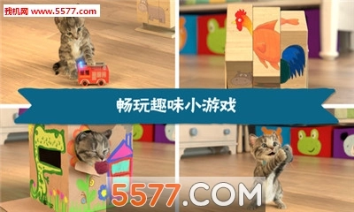 Little-Kitten(LittleKitten)手游直装版图1