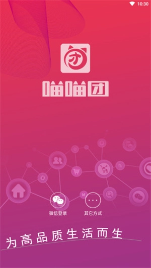 喵喵团图3