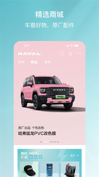 哈弗智家4