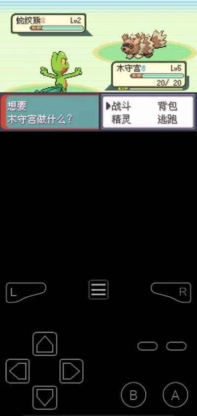 口袋妖怪罪恶的世界中文安卓官方版图2