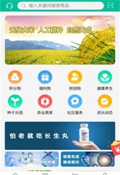 新恒爱