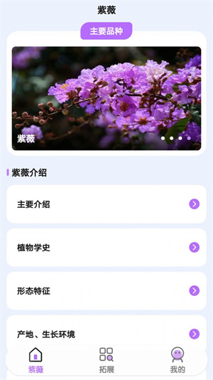 紫薇花园无广告版图1
