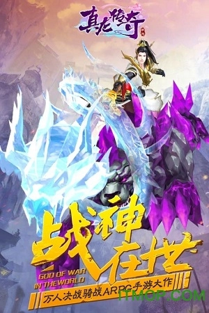 真龙传奇原版图3