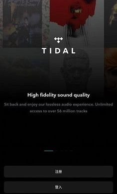 TIDAL音乐重复免费原版图1