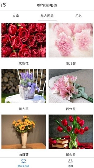 花知