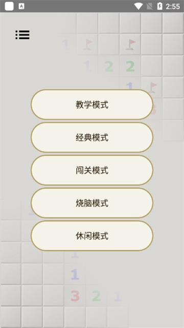 扫雷经典版图5