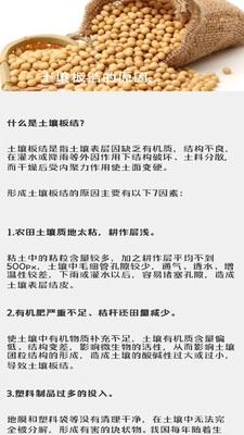 治愈田园生活