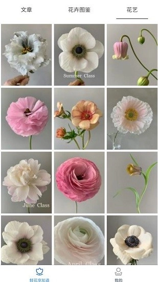 花知