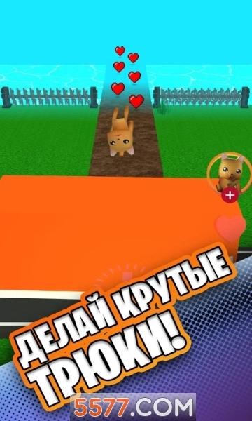 SimbachkaRun安卓版