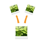 Gif工具箱手机版