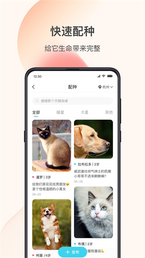 星玉宠