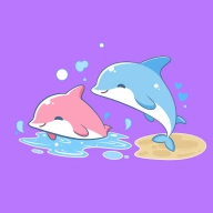 海豚圈圈安卓版