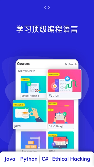 ProgrammingHub图3