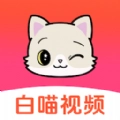白喵视频红包版
