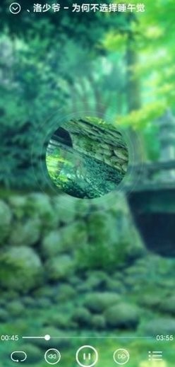 本地音乐播放器原版-图3