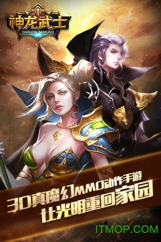 神龙武士百度版图1