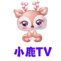 小鹿tv电视版