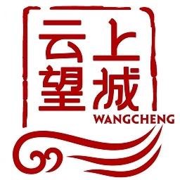 云上望城最新版