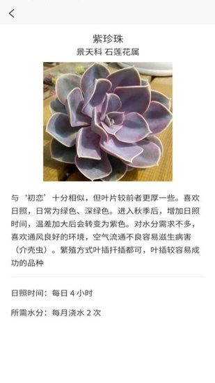 多肉大战软件图2